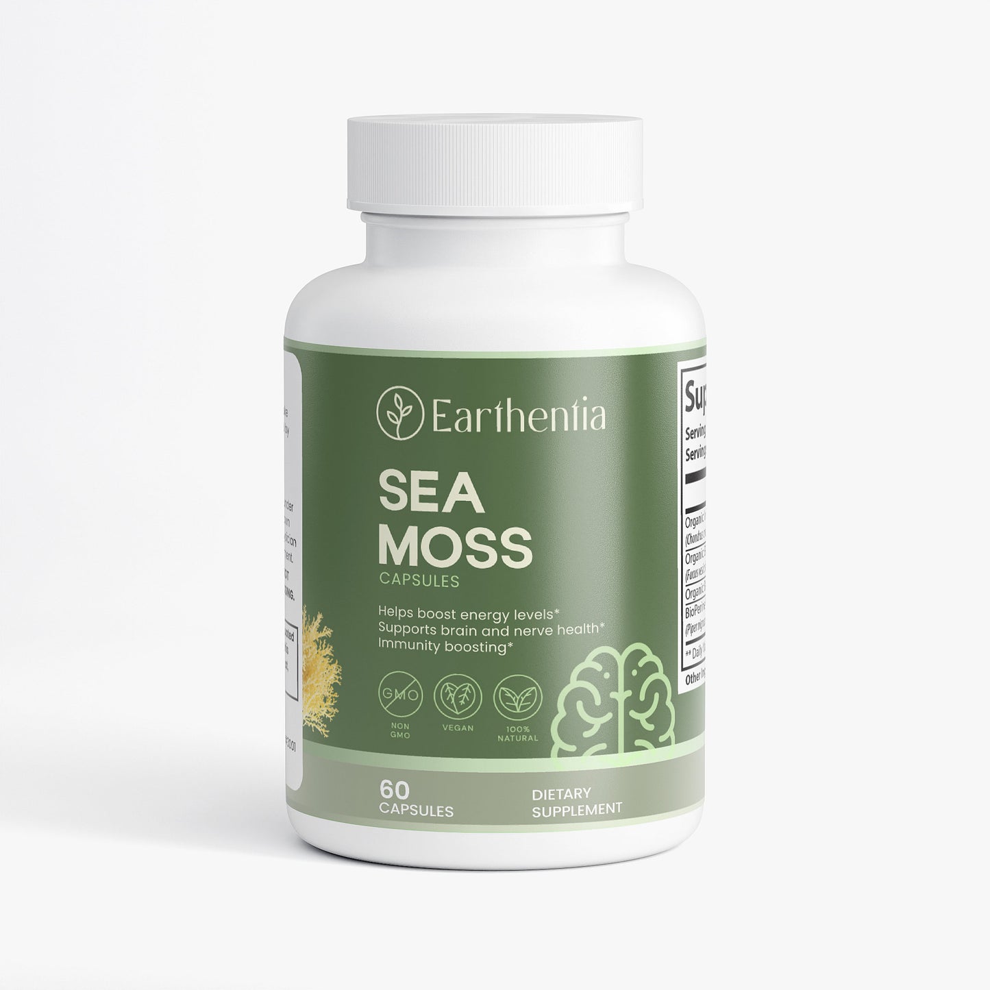 Sea Moss